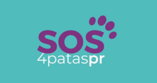 Trabalhe conosco: Cuidador de Cães – Instituto SOS 4 Patas